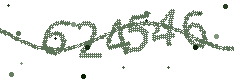 Image with the verification code