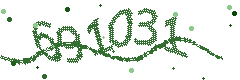 Image with the verification code
