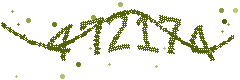 Image with the verification code