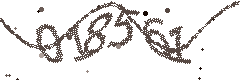 Image with the verification code