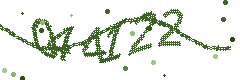 Image with the verification code