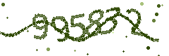 Security verification code