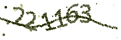 Image with the verification code