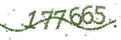 Image with the verification code