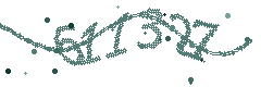 Image with the verification code