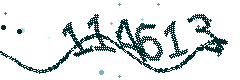 Image with the verification code