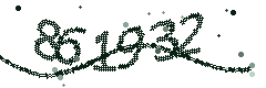 Image with the verification code
