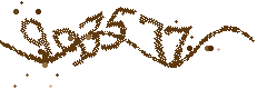 Image with the verification code