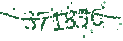 Image with the verification code
