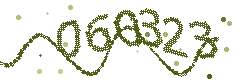 Image with the verification code