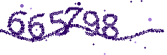 Image with the verification code