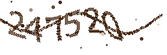 Image with the verification code