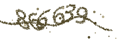 Image with the verification code