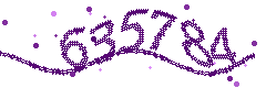 Security verification code