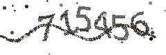 Security verification code