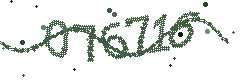 Security verification code