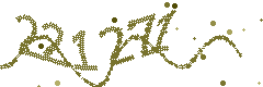 Image with the verification code