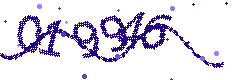 Image with the verification code