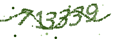 Image with the verification code