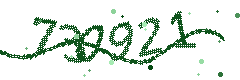 Security verification code