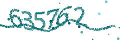 Security verification code