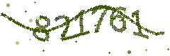 Image with the verification code