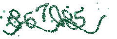 Image with the verification code