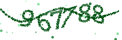 Image with the verification code
