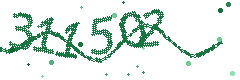 Security verification code