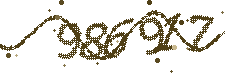 Image with the verification code