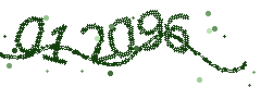 Image with the verification code