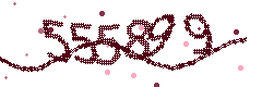 Security verification code