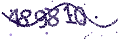 Image with the verification code