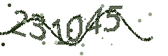 Image with the verification code