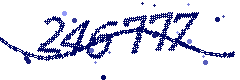 Security verification code