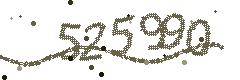 Security verification code
