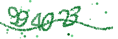 Image with the verification code