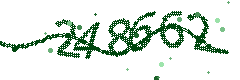 Image with the verification code