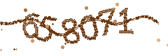 Image with the verification code