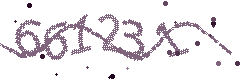Security verification code