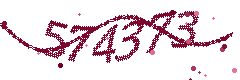 Image with the verification code