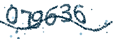Image with the verification code