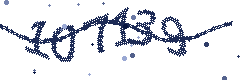 Security verification code