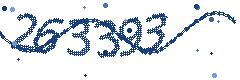 Security verification code