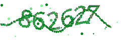Image with the verification code