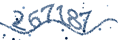 Image with the verification code