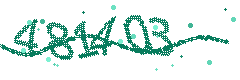 Security verification code