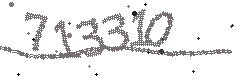 Image with the verification code