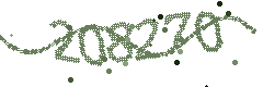 Security verification code