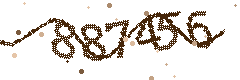 Image with the verification code